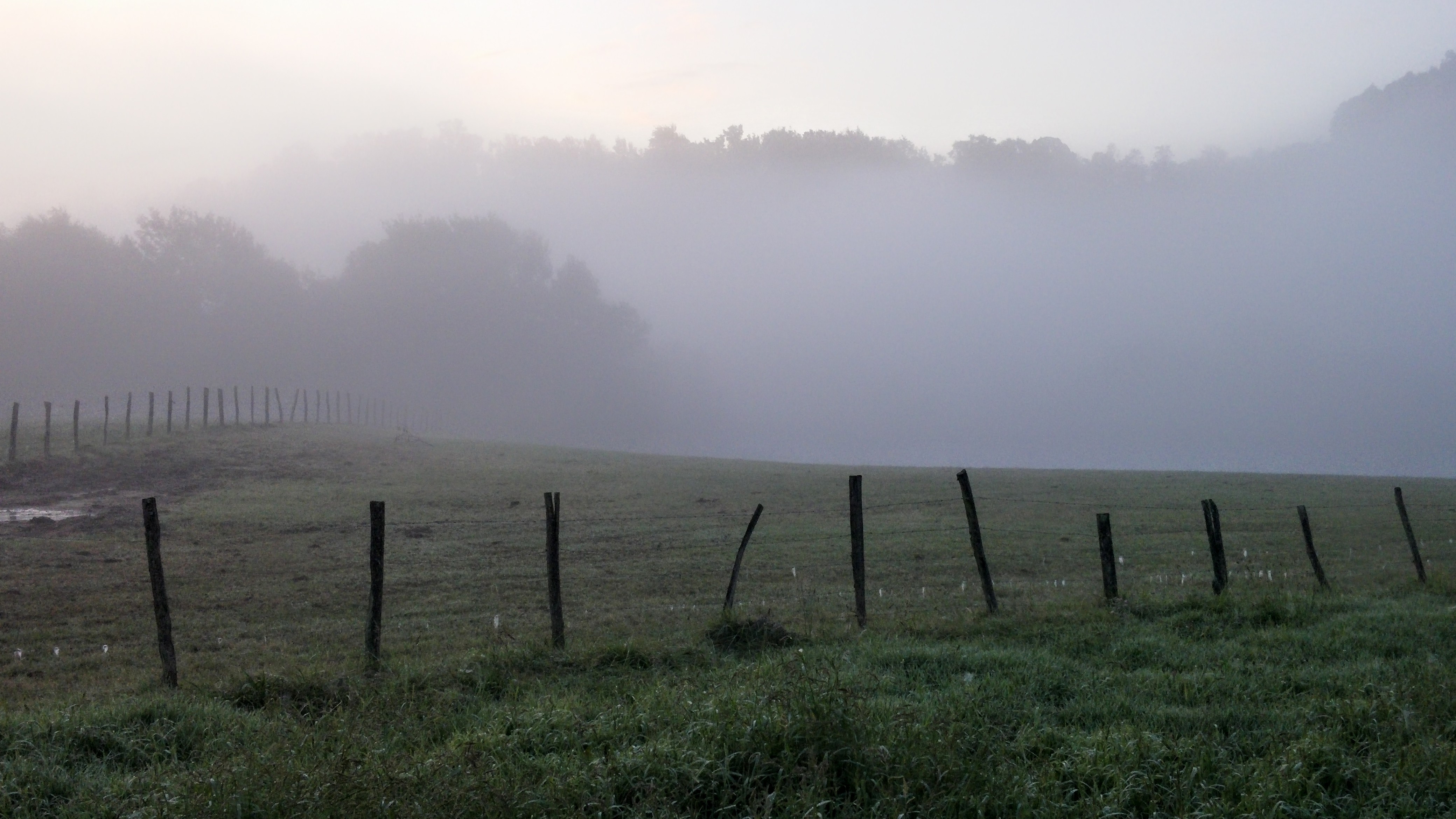The Camino Day 1: A Bruja, Sirens, and The Tricks of Memory