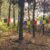 Photos from the Camino de Santiago, October 2015